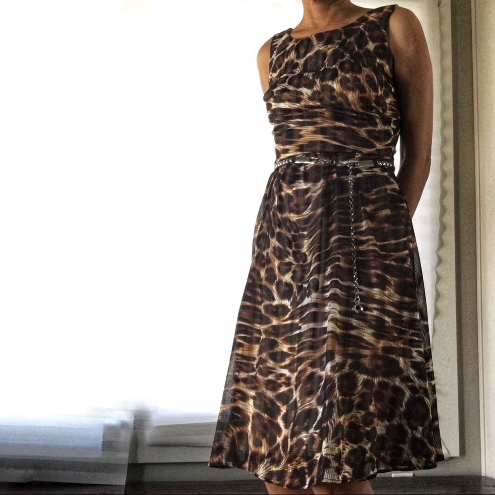 Animal Leopard Print Fit n Flare Dress